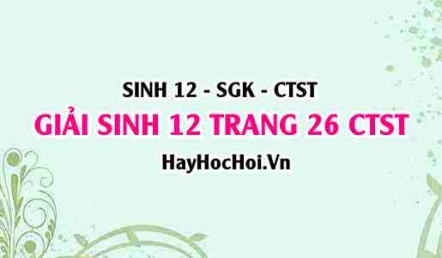 Giải Sinh 12 trang 26 Chân trời sáng tạo SGK